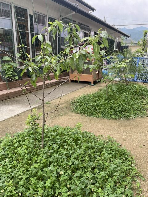 保育室
